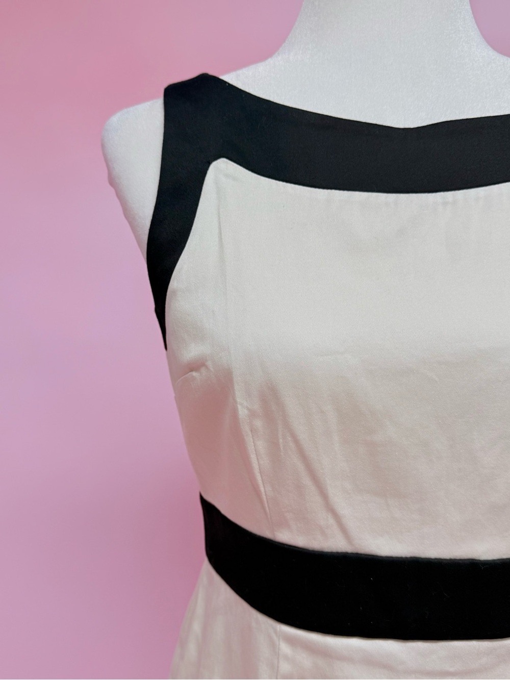 Ann Taylor Sleeveless Cream and Black Sheath Dress - Picture 3 of 8